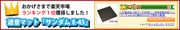 �ž��饤�Ȥβ��ߤ��˺�Ŭ���������E-45