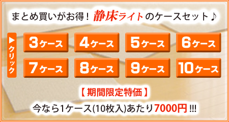 静床ライトのケースセットがお買い得!